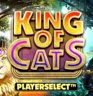 King of Cats