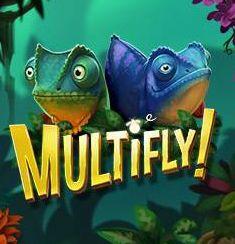 Multifly slot game
