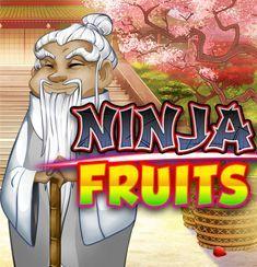 Ninja Fruits slot game