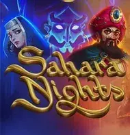 Sahara Nights