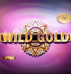 Wild Gold slot game