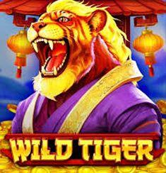 Wild Tiger slot game