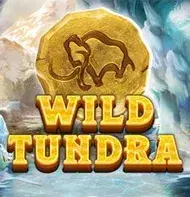 Wild Tundra