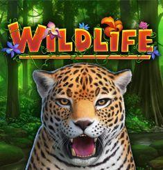 Wildlife slot game