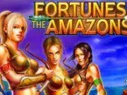 Fortune of Amazon