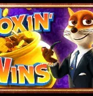 Foxin Wins