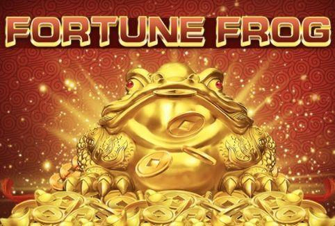 Fortune Frog slot game