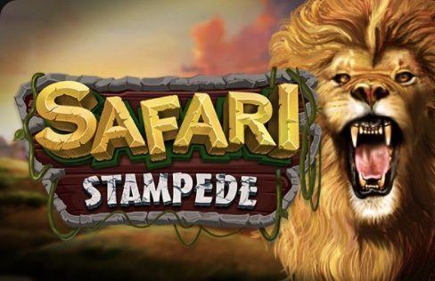 Safari Stampede slot game