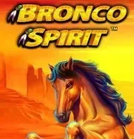 Bronco Spirit
