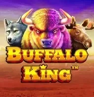 Buffalo King