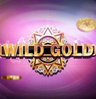 Wild Gold