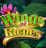 Wings Of Riches