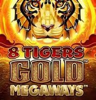 8 Tigers Gold Megaways